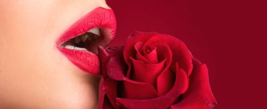 Girl blowjob with tongue, oral sex, symbol. Lips with lipstick closeup. Beautiful woman lips with rose