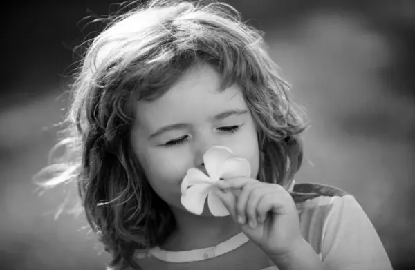 Enfant Drôle Sentant Fleur Plumeria Visage Près Enfants Dans Parc — Photo