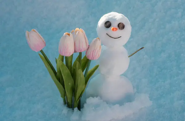 Sneeuwman Met Tulpenbloemen Voorjaar Winter Sneeuwman Met Wortel Neus — Stockfoto