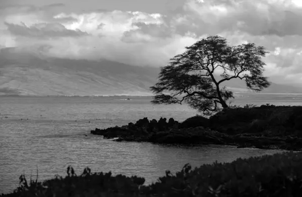 Landscape Tranquil Beach Hawaii Background Tropical Hawaiian Paradise — Stock Photo, Image