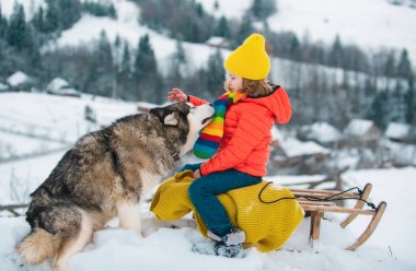 Çocuklar kışın karda iri yarı köpekle oynarlar. Hayvan sevgisi. Noel tatili için açık hava çocukları. Çocuklar narin köpeğe sarılıyor.