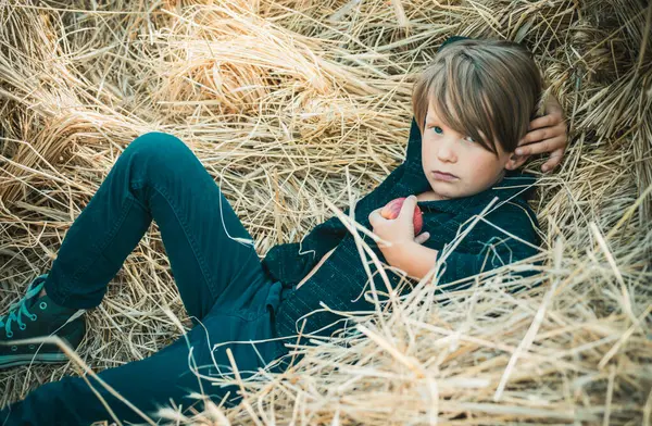 Kid boy holding gold leaf and lies on the hay. Fair-haired boy lies on hay background and eats an apple. Bye summer - hi autumn. Kid on an autumn holiday in the farm