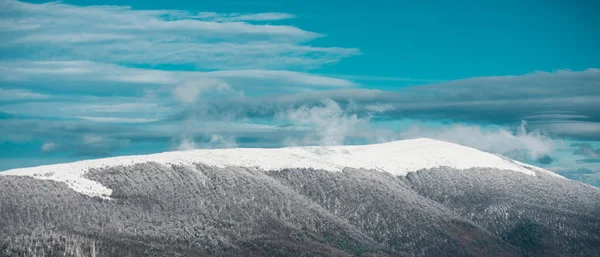 Soğuk Karlı Kış Dağları Karla Kaplı Ağaçlarla Kaplı Kış Manzarası — Stok fotoğraf