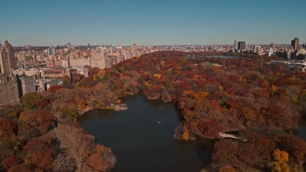 Central Park Drone View Manhattan Nova Iorque City Manhattan Central — Vídeo de Stock