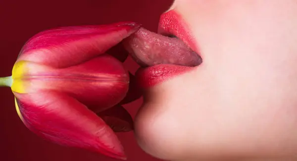 Licking lips. Woman mouth with sexy lips licking tongue flower. Mouth lick and suck close up. Beauty natural lips. Sensual licking, open sexy mouth. Sexy lick with tongue concept. Girl licking tulip