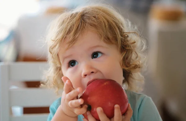 Cute baby eat apple. Portrait of cute adorable caucasian child kid eating fruit