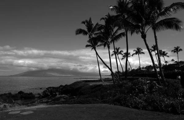 Schöner Strand Mit Palmen Und Himmel Sommerurlaub Reise Urlaub Hintergrundkonzept — Stockfoto