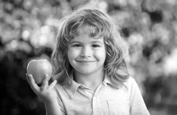 小孩在室外吃苹果 秋天在室外吃苹果 秋天自然降 — 图库照片