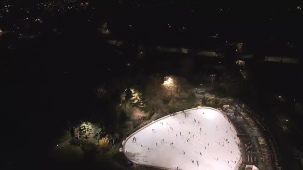 Pista Pattinaggio Invernale Central Park Nyc Night Winter Central Park — Video Stock