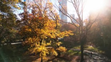 Sonbahar Sonbaharı. İnsansız hava aracından sonbahar Central Park manzarası. Sonbaharda New York City Manhattan Central Park Havalimanı panoraması. New York 'ta sonbahar boyunca Central Park