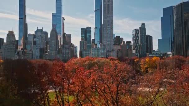 Осінній Центральний Парк Вид Дрона Панорама Манхеттенського Центрального Парку Нью — стокове відео