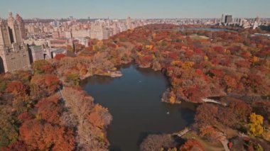 Sonbahar Sonbaharı. İnsansız hava aracından sonbahar Central Park manzarası. Sonbaharda New York City Manhattan Central Park Havalimanı panoraması. New York 'ta sonbahar boyunca Central Park' ta. Gökdelenler ve portakal ağaçları ile sonbahar