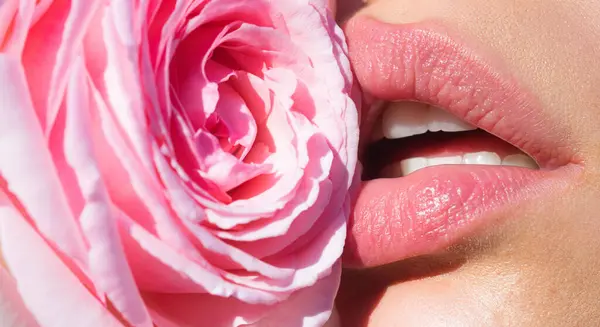 Tenderness rose. Tender natural lips with pink rose. Tenderness sexy woman mouth. Caring and tenderness. Close-up beautiful tender lips with pink rose flower. Spa and cosmetics. Tenderness touch