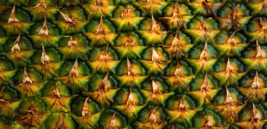 Ananas dokusu. Ananas derisi yakından, kopyalanmış tropikal desenli. Desenli meyve pankartı