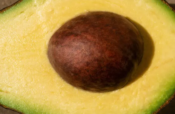 Half Avocado Macro Sluiten Rauw Fruit Gezond Groen Voedsel Avocado — Stockfoto