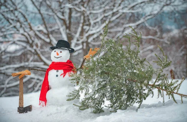 Snow man - lumberjack fir tree in the white snow background. The morning before Christmas. Snow man is carrying Christmas tree in the wood. Funny snowmen