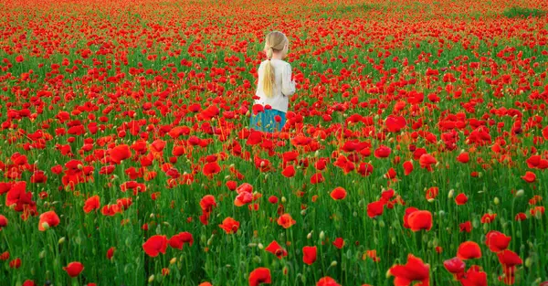 Portrait Beautiful Child Girl Wearing Casual Clothes Field Poppy Flowers — Foto de Stock