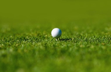 Golf sahasında golf topu. Arka planda fotokopi alanı olan spor topu