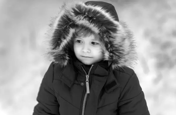 Winter Kid Posing Having Fun Winter Portrait Cute Child Snow Royalty Free Stock Images