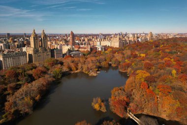 Sonbahar Sonbaharı. İnsansız hava aracından sonbahar Central Park manzarası. Sonbaharda New York City Manhattan Central Park Havalimanı panoraması. New York 'ta sonbahar boyunca Central Park