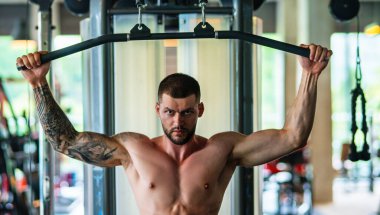 Handsome man preparing for workout. Sport. Weight workout. Guy doing bodybuilding workout in gym. Sport, bodybuilding and fitness. Man exercising with dumbbell. Hard workout