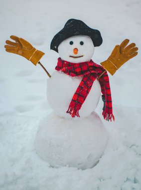 Happy winter time. Snowman isolated on snow background. Merry Christmas and Happy Holidays