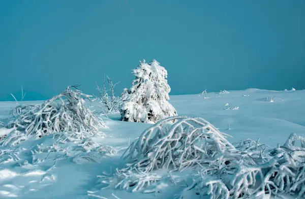 Kar Buzun Kış Arka Planında Dekorasyonun Için Boş Yer Var — Stok fotoğraf