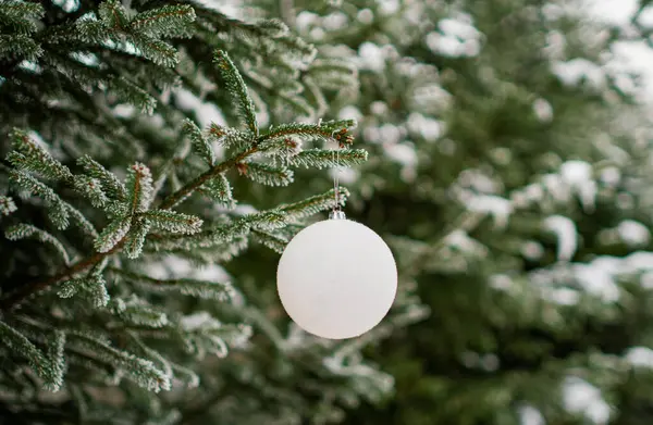 White Ball Snow Covered Tree Fir Branch Xmas Decoration Soft — Stock Photo, Image