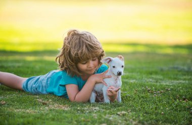 Sevimli çocuk evcil köpeğini kucaklıyor. Köpekli çocuk doğada dinleniyor.