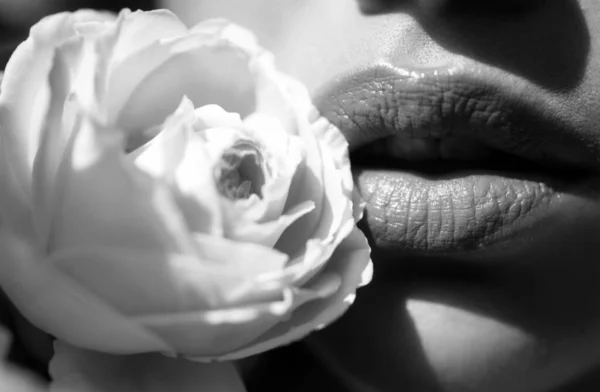 Usta Zmysłowych Kobiet Szminka Bliska Piękne Usta Kobiety Różą — Zdjęcie stockowe