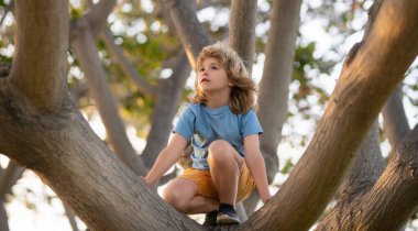 Çocuk ağacın dalına tırmanıyor.