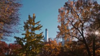 İHA 'dan Central Park görüntüsü. Sonbaharda New York City Manhattan Central Park Havalimanı panoraması. Central Park 'ta sonbahar. Manhattan NYC 'de. Central Park Yaprakların Sonbahar Renkleri