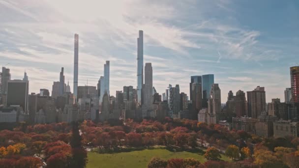 Central Park Luftaufnahme Manhattan New York City Manhattan Central Park — Stockvideo