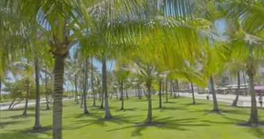 Miami 'deki Ocean Drive' ın havadan görüntüsü. Miami hava manzaralı. Art deco bölgesi, South Beach, Miami Florida. Ünlü cadde. İHA görüntüsü. Miami 'de Ocean Drive. Sokakta palmiyelerle.