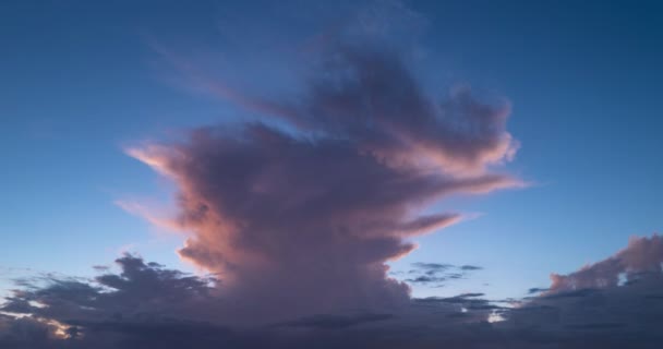 青空で雲が動いている タイムラプス 雲のタイムラプス 雲を移動する カンクルス雲の雲 スカイタイムトラブル 自然の天気青空 クラウドの背景 — ストック動画