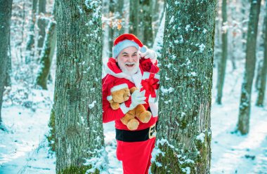 Mutlu Noeller ve mutlu yıllar konsepti. Mutlu Noeller dilerim. Noel Baba, kışın karla kaplı tarlada hediye dolu bir çantayla gidiyor.