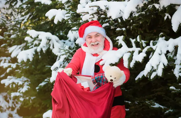 Santa Claus Christmas Eve Carrying Presents Children Bag Fir Snowy — Stock Photo, Image