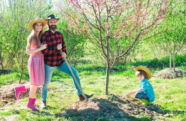 Agricultores Familiares Que Trabajan Jardín Árboles Primavera Padre Madre Hijo — Foto de Stock