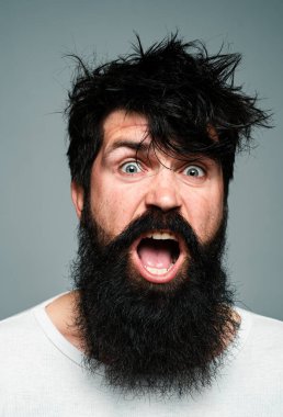 Şaşırmış sakallı adam. Şaşırmış erkek model, şaşırmış surat ifadesi, şaşırmış surat. Duygular insanlar konsepti. Ağzını aç. Heyecanlı bir sabah