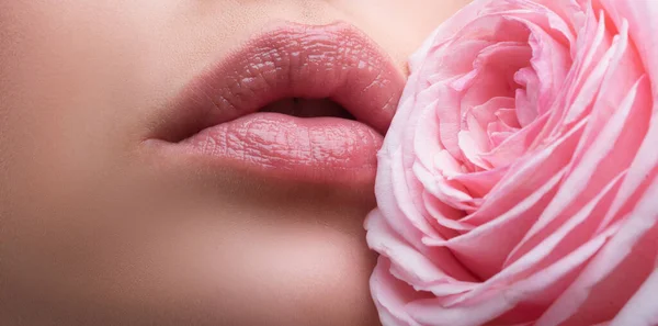 Close-up sexy woman natural lips and pink rose. Banner of lips with lipstick closeup. Beautiful woman lips with rose