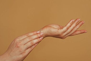 Ellerini uzat. Elini uzat. Şehvetli bir dokunuş. Güzel Kadın Elleri. Kadın Elleri Kremi, Losyon. Spa ve Manikür konsepti. Kadın eli işte. Yumuşak ten, cilt konsepti. El Cilt Bakımı