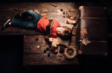 Küçük çocuk sıcak bir sonbaharın sıcak battaniyesinde yatıyor. Sonbaharda oynayan bir çocuk. Küçük şirin çocuk sonbahar yapraklarıyla ahşap bir zeminde uzanıyor ve kitap okuyor.