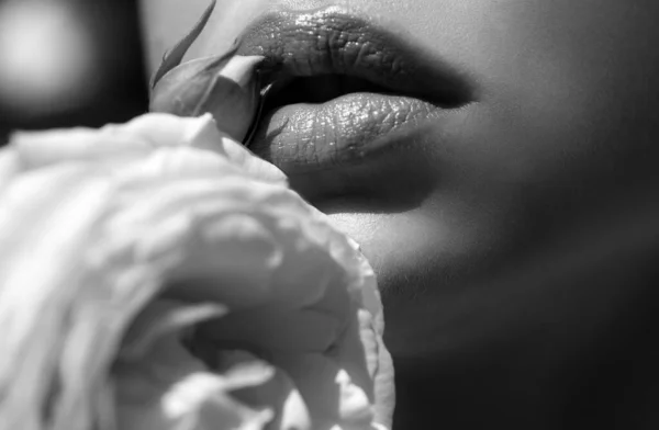 春の唇が上がった 美しいです女性の唇とともにヌード口紅 — ストック写真