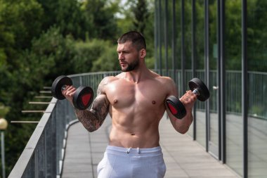 Handsome fit muscular caucasian man workout in the gym with weight pumping up muscles. Fitness and bodybuilding sport. Bodybuilder with dumbbells at gym, hard workout