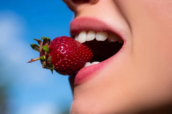 Summer sexy fruits. Strawberry in lips. Red strawberry in woman mouths close up