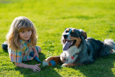 Dışarıda oynayan şirin bir çocuk ve köpek yavrusu. Köpek ve çocuk top yakalama oyunu oynuyorlar. Çocuk köpekle çimenlikte oynuyor. Mutlu çocuk çimenlikte köpek aktif oyunu oynuyor