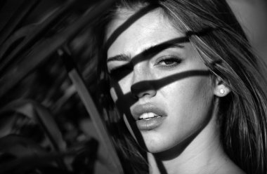 Yüzünde palmiye yaprağı gölgeleri olan güzel bir kadının portresi. Yüzünde palmiye yaprakları olan genç ve güzel bir kadın. Yaz bakımı