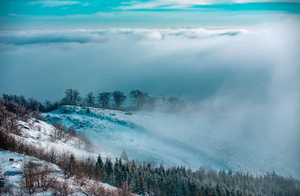 デザインのための冬の自然 雪の冬の風景の山の中で木を覆った 冬の森の背景 — ストック写真