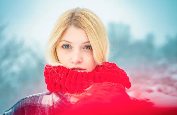 Kışın Güzel Genç Bir Kadın Kış Mevsimi Kış Zamanı Kışın — Stok fotoğraf