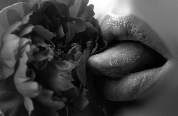 Lips Lick Flowers Closeup Beautiful Woman Lips Rose — Stock Photo, Image